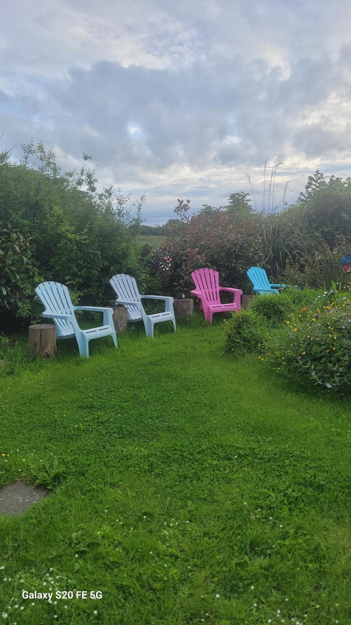 Salmon Island View Dromineer Exterior foto
